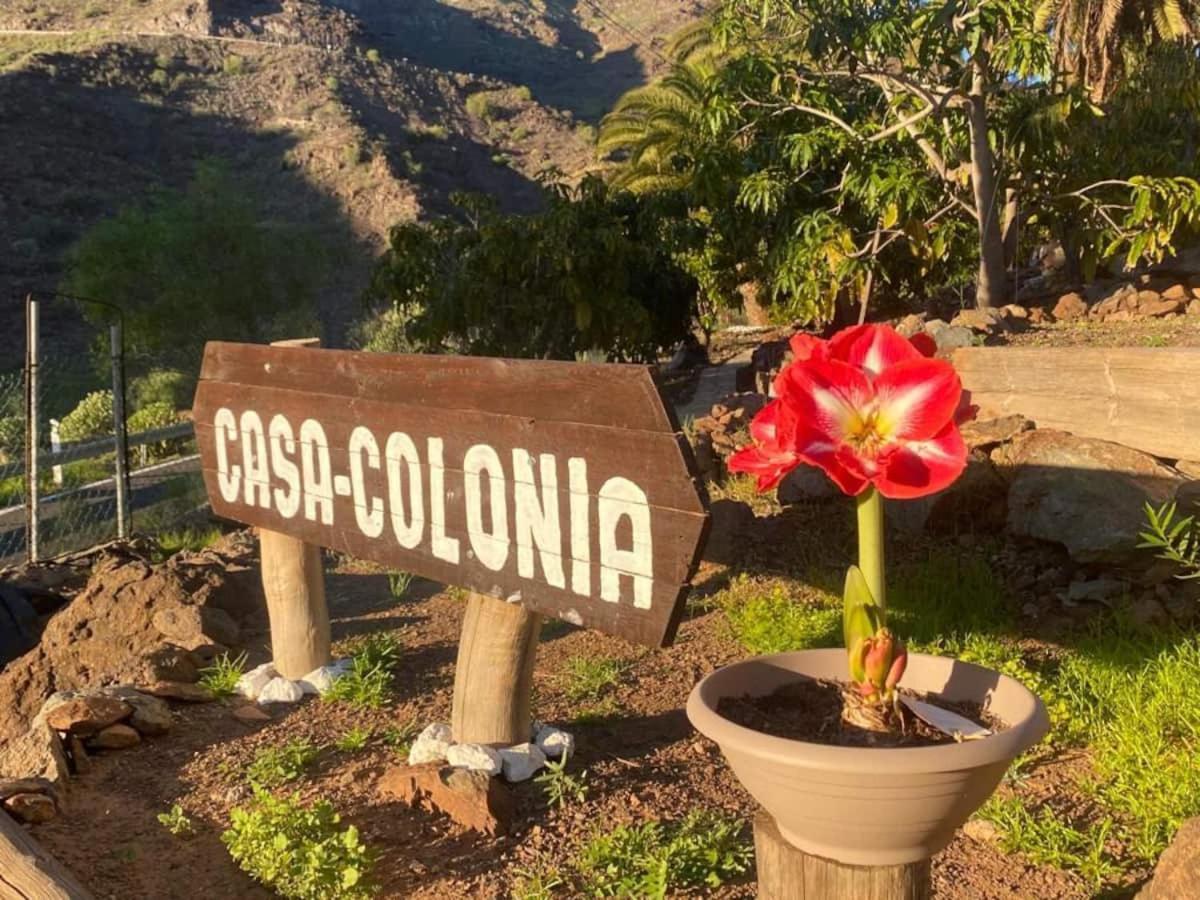 Casa Colonia Apartman Mogán Kültér fotó